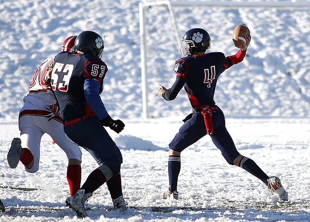 产品质量的 产品质量的