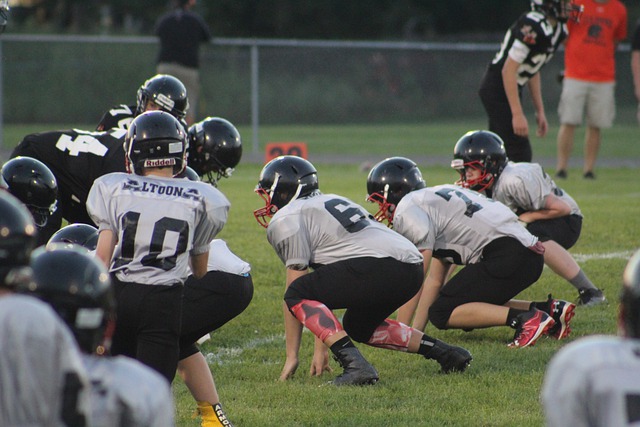 的教练阿莫 的教练阿莫