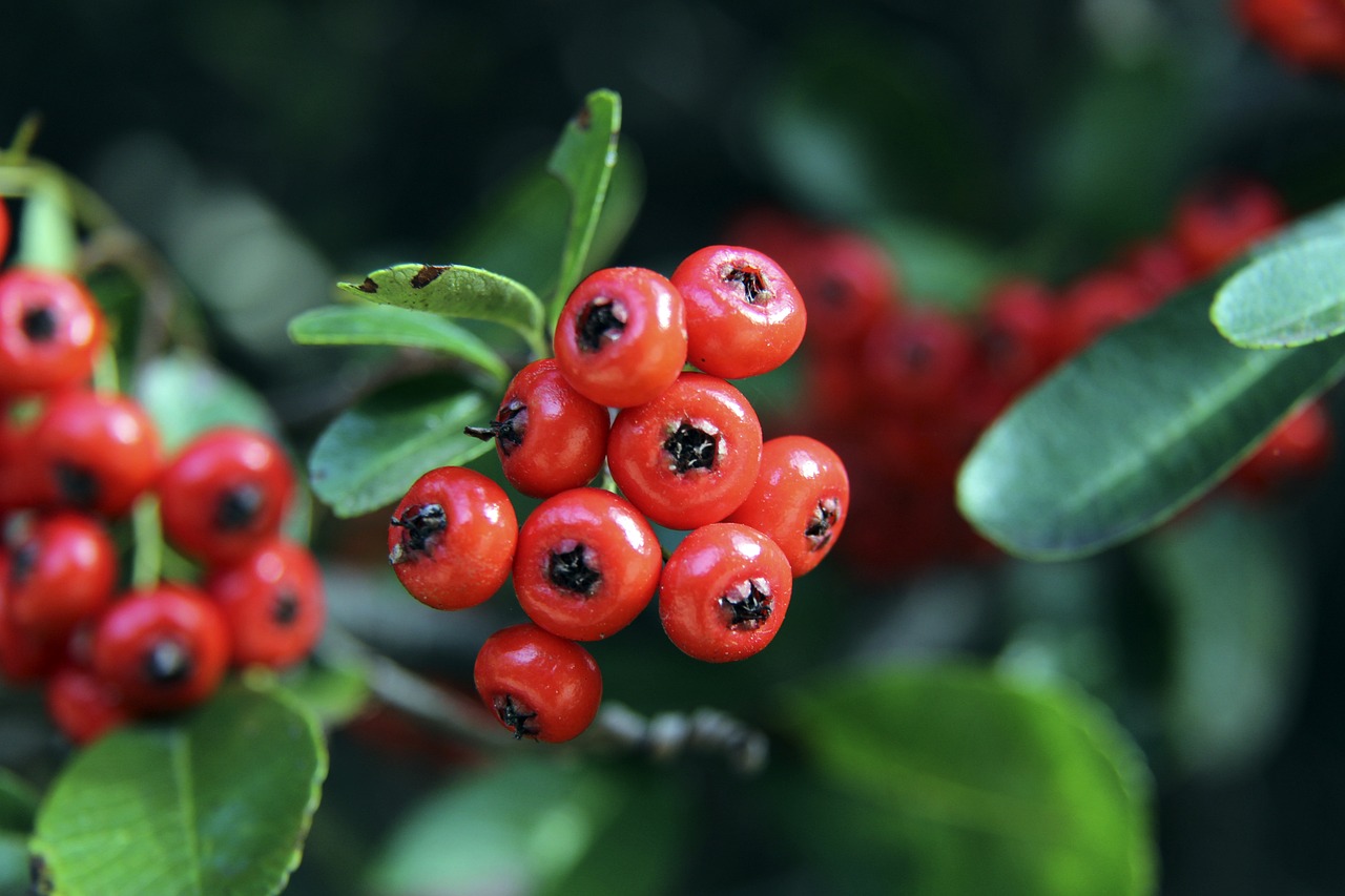 索斯蓋特也 索斯蓋特也