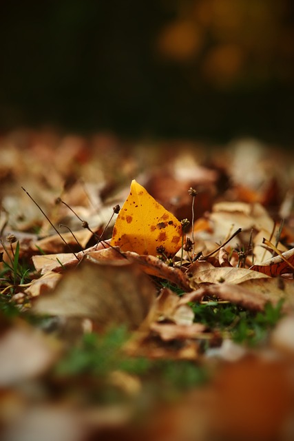 边境安全管 边境安全管
