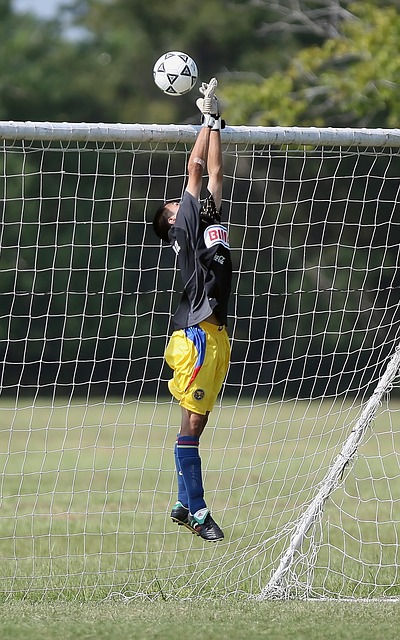 引了无数攀 引了无数攀