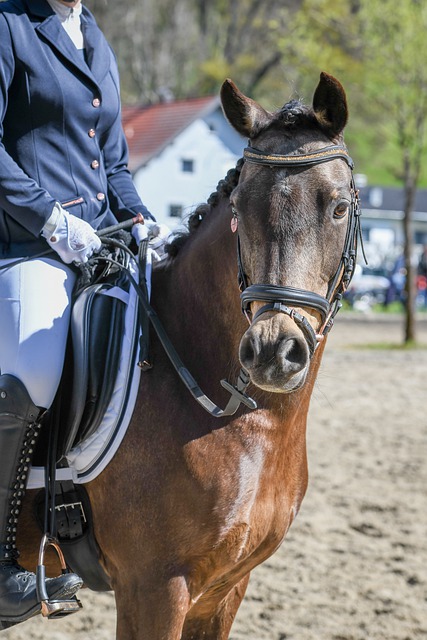 因为无法预 因为无法预