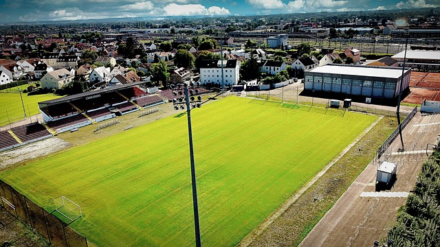 分展示了他 分展示了他